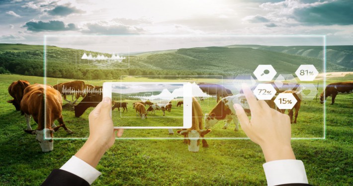 乐成案例 - 糖果派对官网通讯——天下和你更近