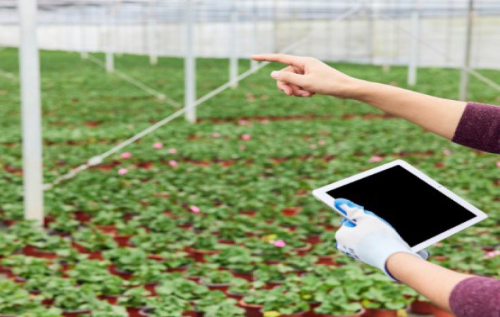 糖果派对官网-追求康健,你我一起生长